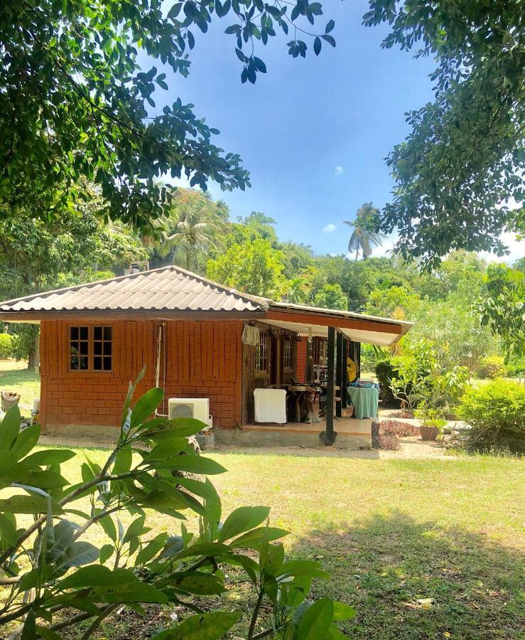 Lamai Chalet Amphoe Koksamui Bagian luar foto