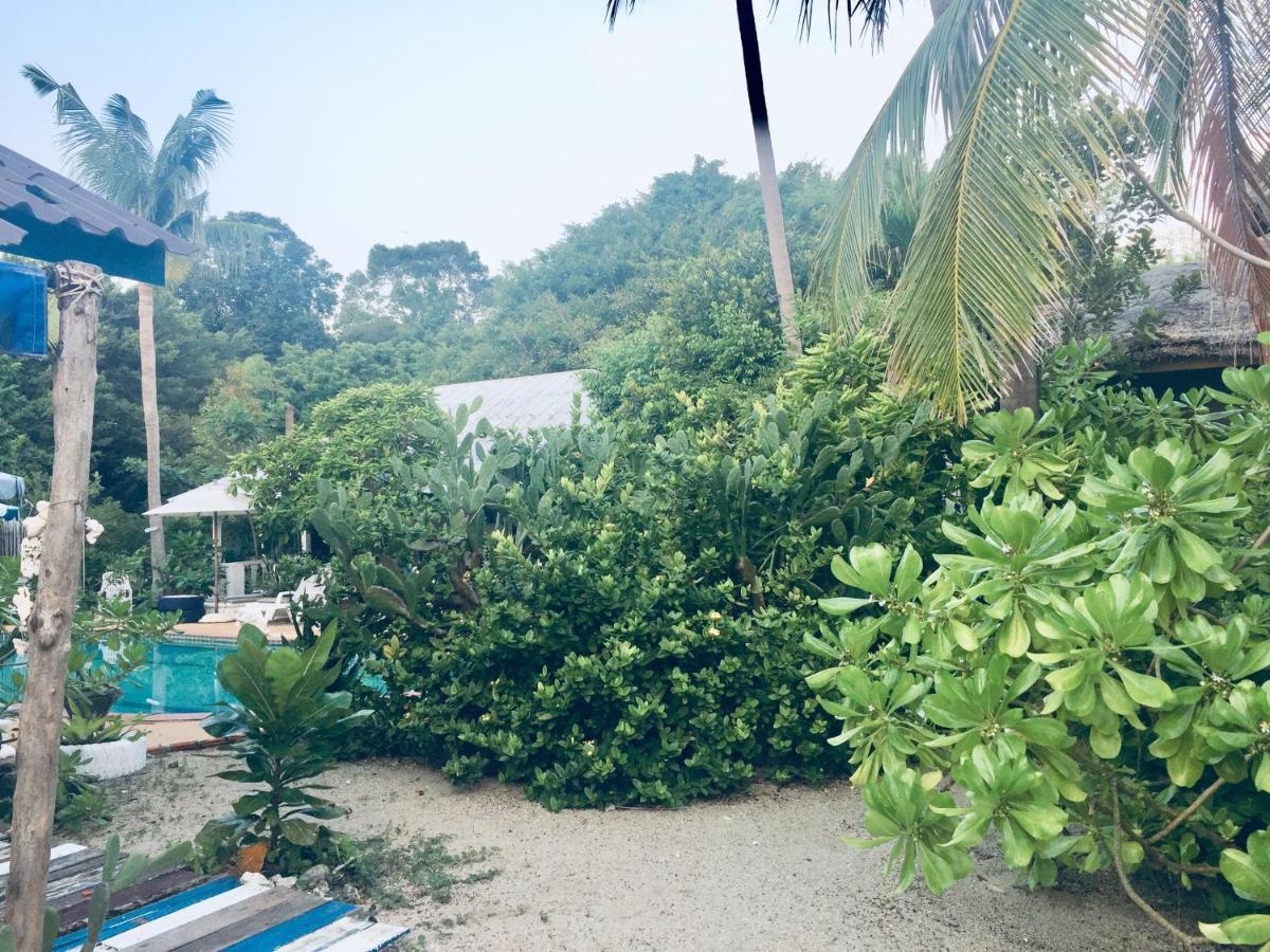 Lamai Chalet Amphoe Koksamui Bagian luar foto